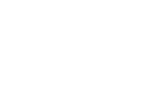Partnership